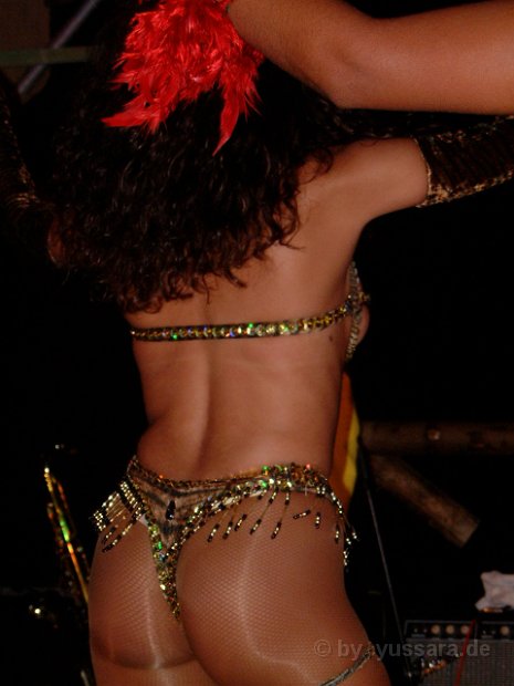 Brasil Samba Show (96)